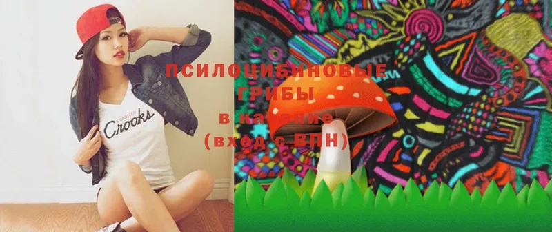 Галлюциногенные грибы Psilocybe  blacksprut   Верхнеуральск 